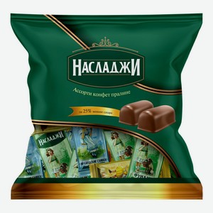 Шоколадные конфеты Виват Насладжи ассорти 500 г
