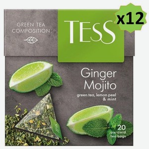 Чай зеленый Tess Ginger Mojito Тесс Джинджер Мохито, 12 упаковок по 20 пирамидок