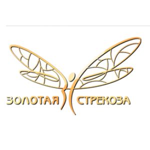 Золотая Стрекоза в Челябинске