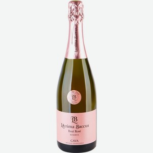 Вино игристое EXCLUSIVE ALCOHOL Cava Metodo Tradicional DO роз. брют, Испания, 0.75 L