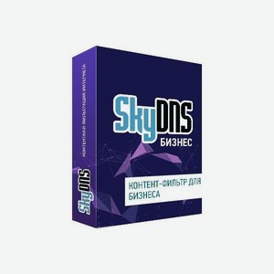 Интернет-фильтр SkyDNS Бизнес 30 лицензий на 1 год [SKY_Bsn_30] (электронный ключ)