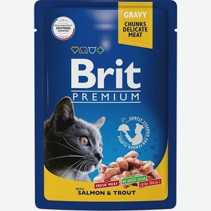 Влажный корм для кошек Brit лосось-форель в соусе жидкий 85г