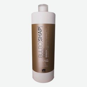 Увлажняющий шампунь для сухих, тусклых и пушащихся волос Bulboshap Shampoo Dry Dull Frizzy Hair: Шампунь 1000мл
