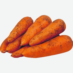 Морковь 1кг