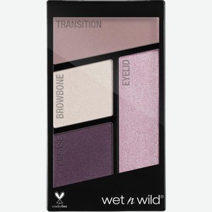 Палетка теней для век Wet N Wild Color Icon E344B 4г