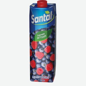Напиток Сантал Лесные ягоды 1,0л т/пак