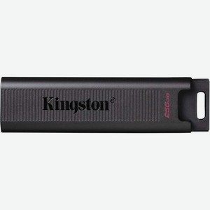 Флешка USB (Type-C) Kingston DataTraveler Max 256ГБ, USB3.2, черный [dtmax/256gb]