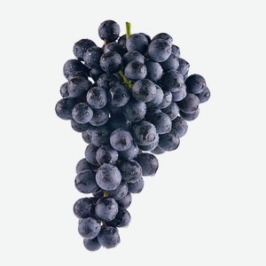Виноград черный кг