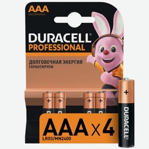 Батарея Duracell Professional AAA LR03/MN2400 4шт.
