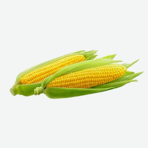 Кукуруза сладкая в початках 2шт, 0,45 кг