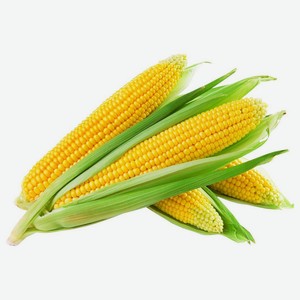 Кукуруза свежая 1шт, 0,2 кг
