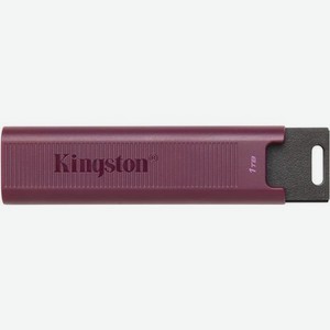 Флешка USB Kingston DataTraveler Max 1ТБ, USB3.2, черный и бордовый [dtmaxa/1tb]