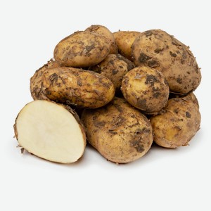 Картофель новый урожай вес Ривьера