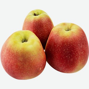 Яблоки Глостер 65 вес