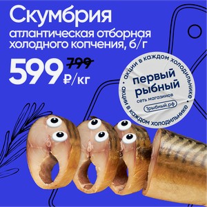 Х/К скумбрия атлантическая отборная БГ