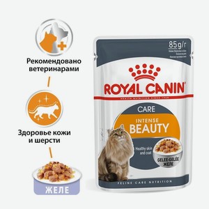 Royal Canin паучи кусочки в желе для кошек 1-7 лет: идеальная кожа и шерсть (85 г)