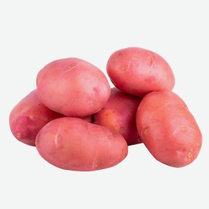 Корнеплод местный картофель красный