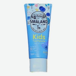 Детская зубная паста 6+ Smaland Nordic Mild Fruity Kids 80г