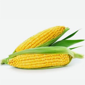 Кукуруза 1шт