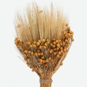 Букет сухоцвет Домашняя кухня колосовые культуры пшеницы и льна