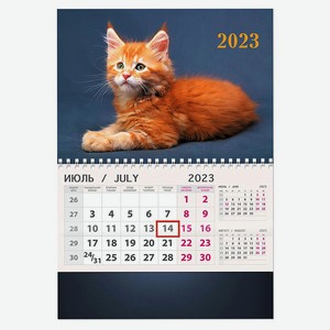 Календарь настенный 2023 «Арт Дизайн» одноблочный, 295х210 мм