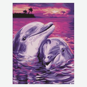 Картина по номерам Остров сокровищ 662482  Дельфины 