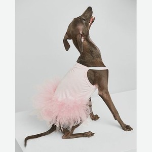 Платье для собак:розовый:s