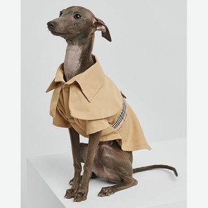 Куртка для собак: бежевый: l