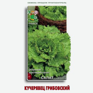 Семена Салат «Поиск» Кучерявец Грибовский, 1 г