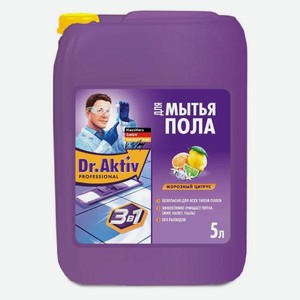 Средство для мытья полов Dr.Aktiv Prof. Морозный цитрус 5л