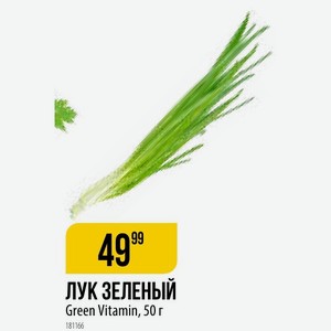 ЛУК ЗЕЛЕНЫЙ Green Vitamin, 50 г