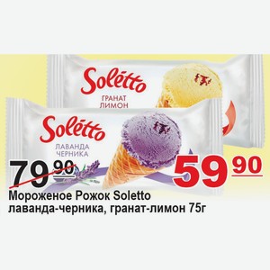 Мороженое Рожок SOLETTO лаванда черника, гранат лимон 75г