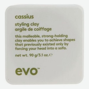 Конструирующая глина для укладки волос Cassius Styling Clay 90мл