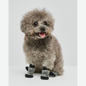 Носочки для собак 4шт:Серый:XL