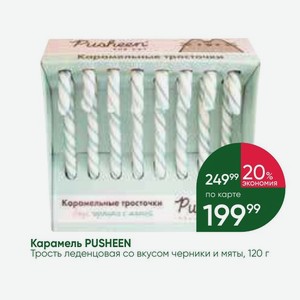 Карамель PUSHEEN Трость леденцовая со вкусом черники и мяты, 120 г