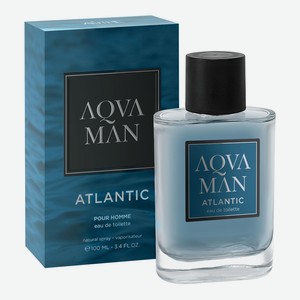 Туалетная вода AquaMan Atlantic аромат древесный, пряный, мужская, 100 мл