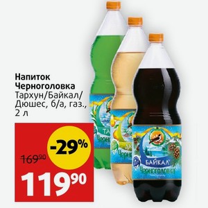 Напиток Черноголовка Тархун/Байкал/ Дюшес, б/а, газ. 2 л