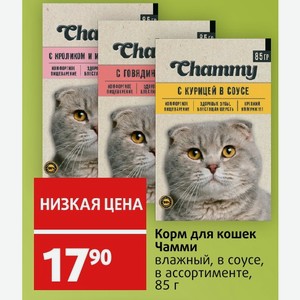 Корм для кошек Чамми влажный, в соусе, в ассортименте, 85 г
