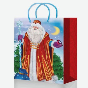 Пакет подарочный новогодний, дизайн в ассортименте, 18×22,7×10 см