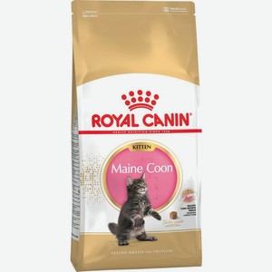 Royal Canin Kitten Maine Coon сухой корм для котят породы мейн-кун (10 кг)