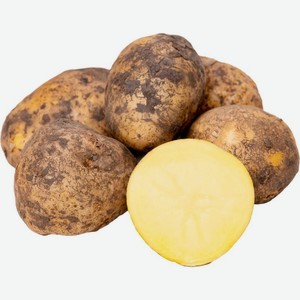 Картофель 1.45 кг