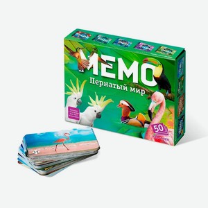 Настольная игра Нескучные игры «Мемо Пернатый мир» 50 карточек