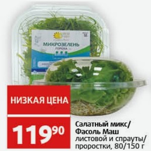 Салатный микс/ Фасоль Маш листовой и спрауты/ проростки, 80/150 г