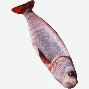 Игрушка Мега Тойс Рыба