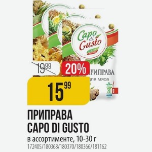 ПРИПРАВА CAPO DI GUSTO в ассортименте, 10-30 г