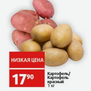 Картофель/ Картофель красный 1 кг