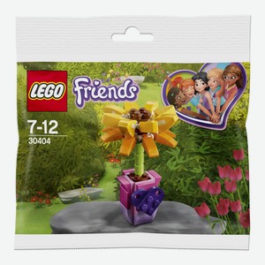 Конструктор LEGO Friends Цветок дружбы 30404