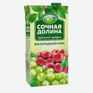 Напиток сокосодержащий Сочная Долина Виноградный микс яблоко-виноград-черноплодная рябина 1.93 л