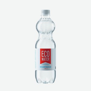 Вода 0.5 л Eco Water питьевая природная негазированная ПЭТ