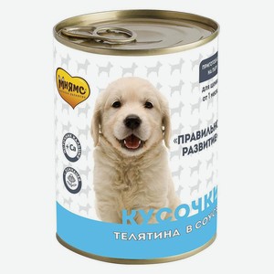 Корм консервированный для собак «Мнямс» Кусочки в соусе с телятиной для щенков всех пород Правильное развитие, 400 г